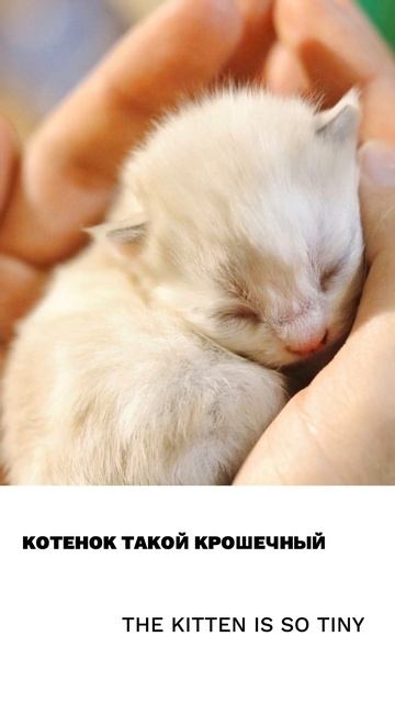 Крошечный
