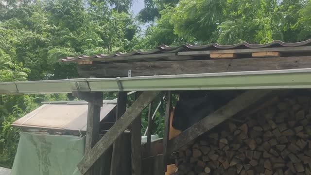 Организуем водосток с дровянника.