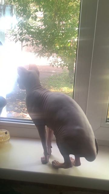 1 октября 2023 г.