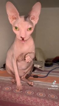 14 июля 2023 г.