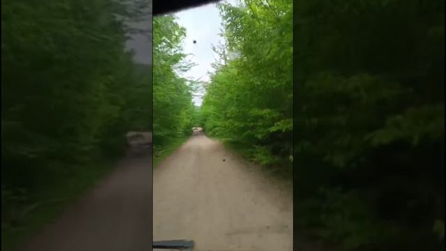 Поход на гору Большой Тхач. На Тайвань со стороны Новопрохладного Адыгея