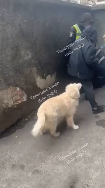Жесткое задержание парня полицией в Киеве !!!