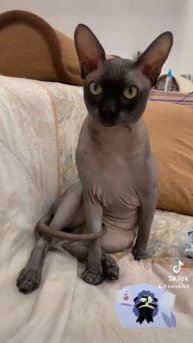 26 августа 2023 г.