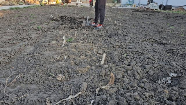 Будни Нинель. Весенние работы. Подготовка участка к вспашке.