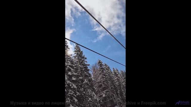 Леса превращаются в личный космос под эту мелодию - Dance -- Kirk Osamayo -- Season Two (PURPLE)