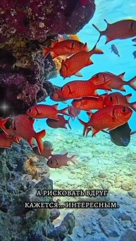 тенденции дня