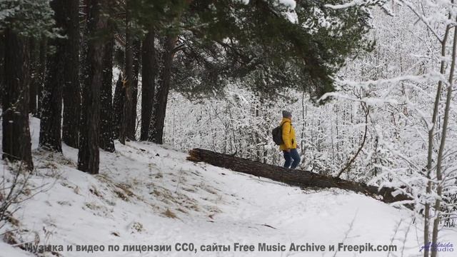 Ветер в волосах, его рука в твоей и эта волшебная мелодия - meet-n-jam -- Jean Toba -- a land where