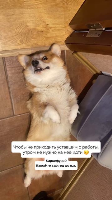 Чтобы не уставать на работе