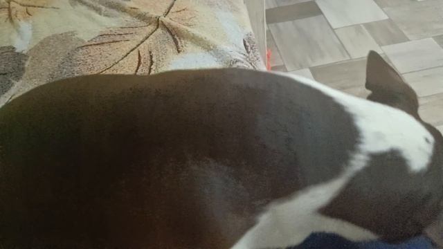 Я снова с вами! Привет всем!