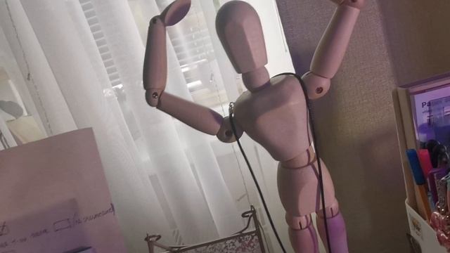 petal_20250617_104622.mp4