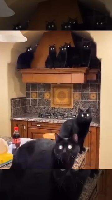 Тьма захватила кухню😱