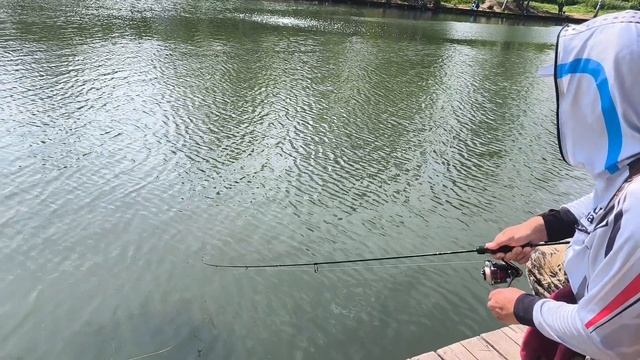 1000005069.mp4
