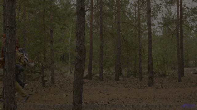 Музыка, которая заставит вас обнять друг друга крепче! - Lost On The Freeway -- HoliznaCC0 -- Lost