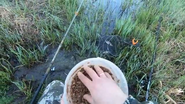 Великолепный улов Карася на поплавочную удочку.