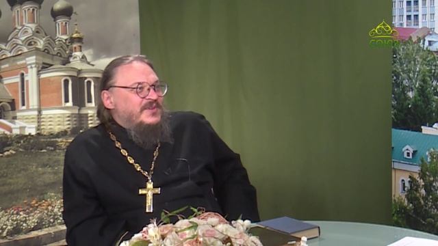 Родное слово. Беседа с доктором филологических наук Леонидом Паниным