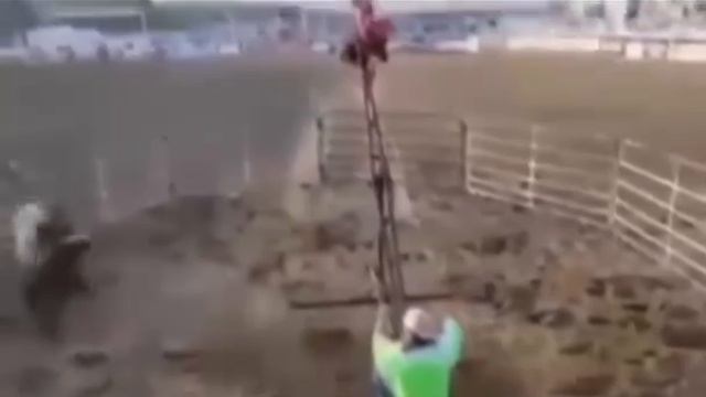 Качели и рога