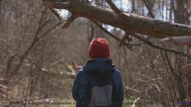Кадры, которые доказывают существование магии - убедитесь сами! - One Man Book  Good News People --