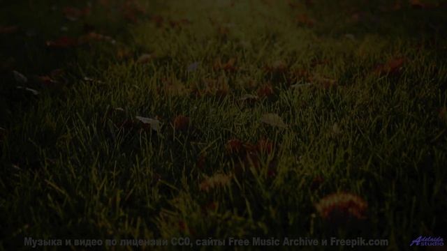 Мелодия наполняет сознание спокойствием и восторгом сразу - Whistle Synth -- Lance Romance -- Sessio