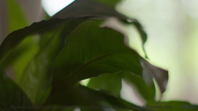 Эта музыка вдохнёт жизнь в каждый пейзаж - Last One -- Small Tall Order -- Easily