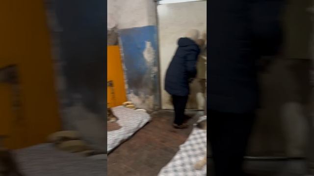 20.01.2025 г Мои ребята через несколько дней после пожара.