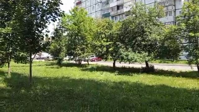 1000008905.mp4