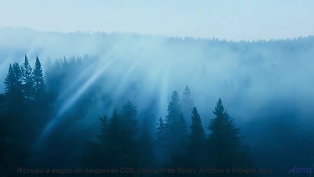 Ты не сможешь дышать, пока не досмотришь до конца! - Lost In Your Eyes -- HoliznaCC0 -- Lost