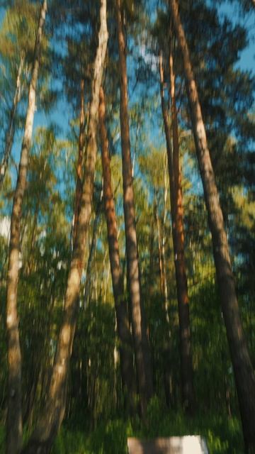 🌳Прогулочная зона в  КП Передоль  #shorts