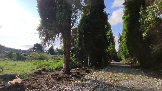 Абхазия Мушмула Кафе Амра Цены Номера Цитрусовый совхоз 17 июня 2025 г.
