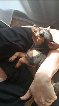 Третий ребёнок в семье