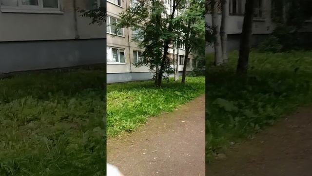 Дышим жабрами при 95% влажности