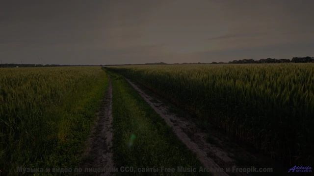 Природа, увиденная глазами искусственного сверхразума - новый взгляд на реальность! - Green -- Kirk