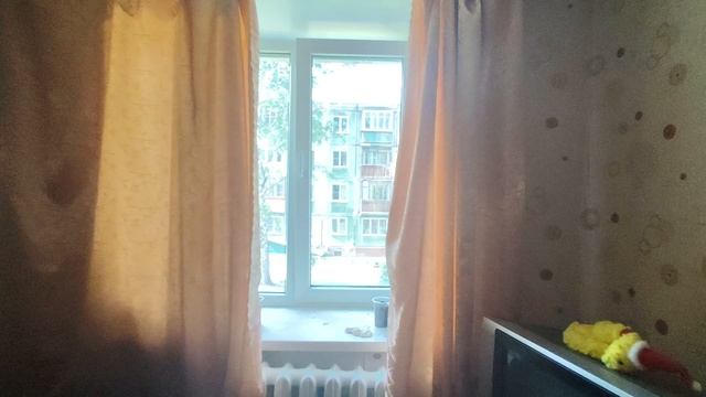 1000205715.mp4