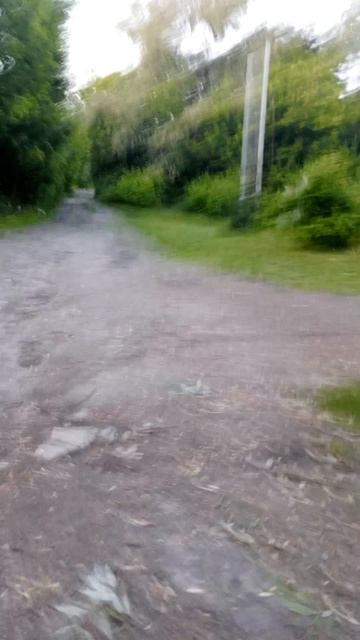 дорог