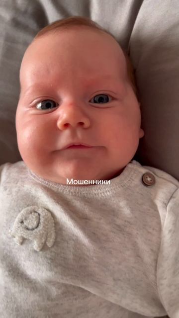 Мошенники