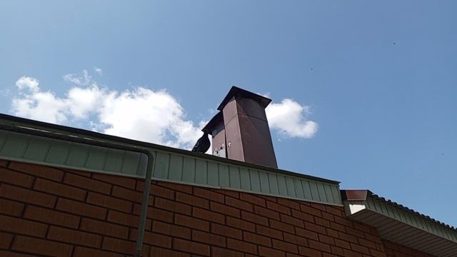1000008826.mp4444