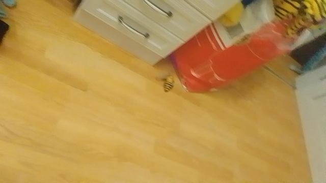 механический шершень