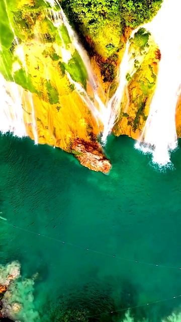 Всё, что попало в объектив