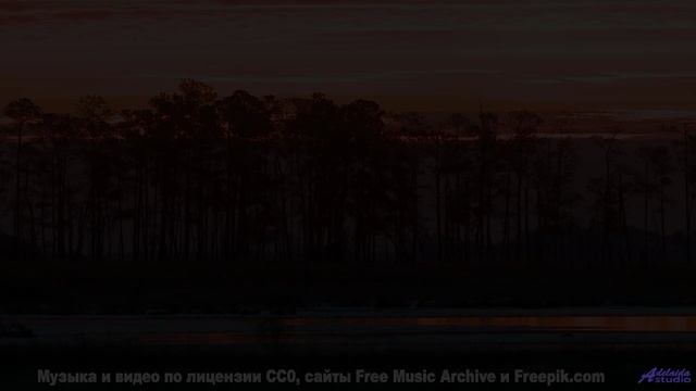 Звук, от которого СХОДЯТ С УМА! - Barnums Last Words -- New Millennium String Band -- NMSB