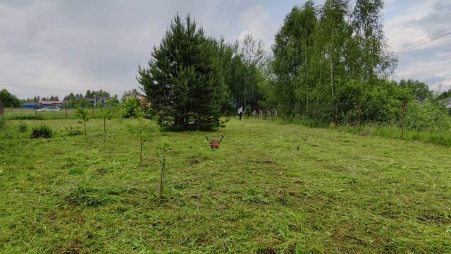 VID_20250615_181455.mp4