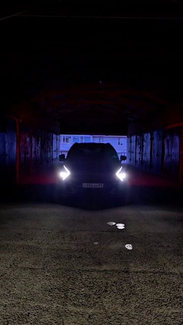 Чёрная, Фурия