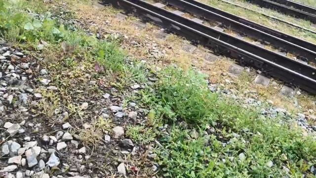 video_2025-06-17_13-34-28