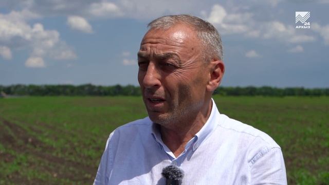 Аграрии Карачаево-Черкесии приступили к прополке кукурузы