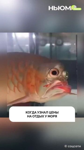 Отпускное