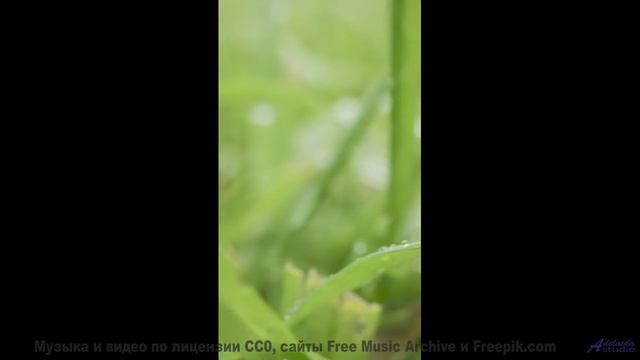 Почувствуйте, как стресс растворяется под этот саундтрек! - Bad Seed -- Vincent Augustus -- Nightlif