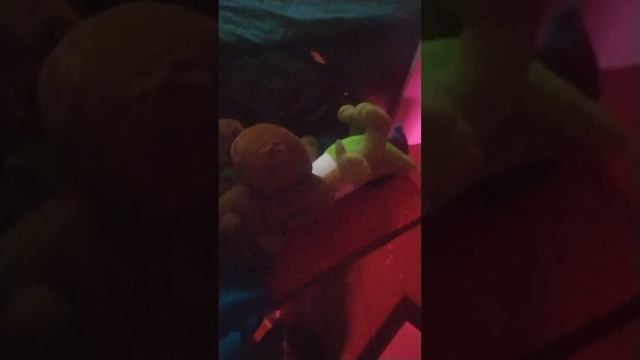 VID_20250617_192838.mp4