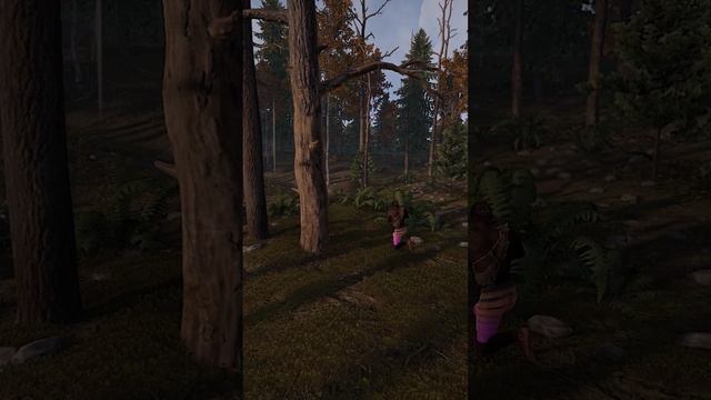 Миниган в лечу в Rust