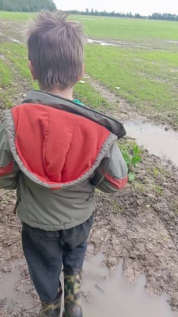 поле снаряд , Синявинские высоты
