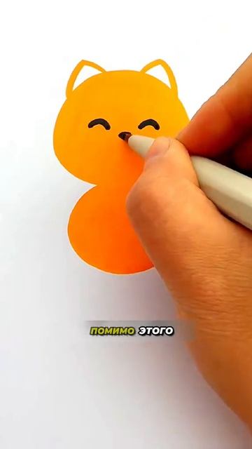 1000075995.mp4