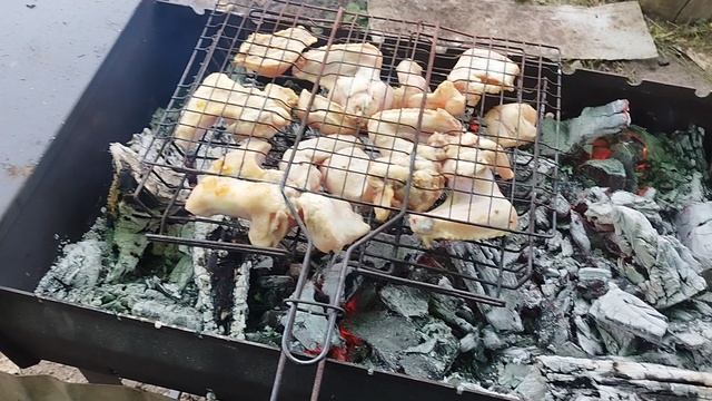 шашлык под дождем
