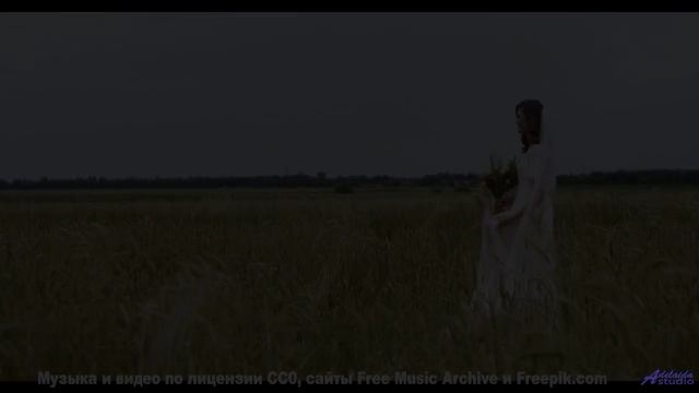 Удивление не отпускает, пока звучит этот мощный саунд - Deaths Favorite Chair -- HoliznaCC0 -- Forag
